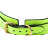 Generique Collier-laisse phosphorescent Luminous Vert